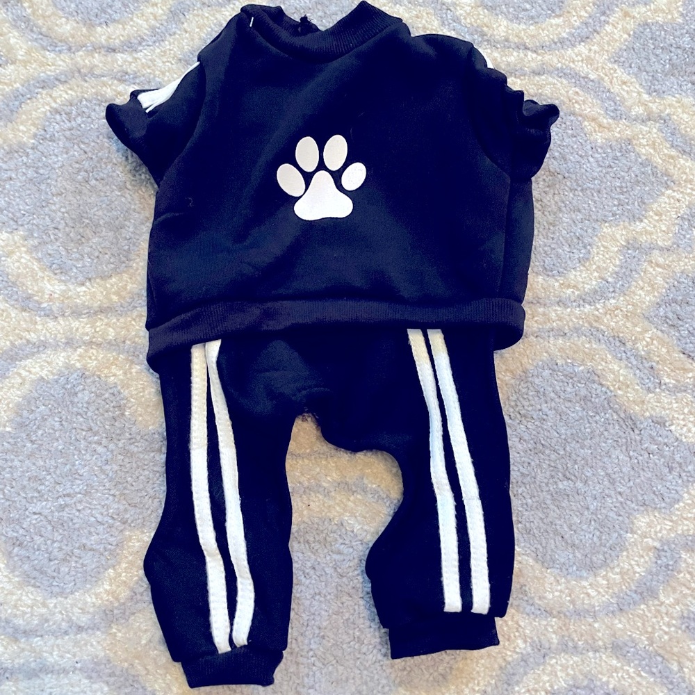 Pet running suit